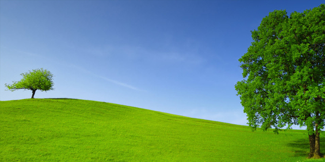 white label websites